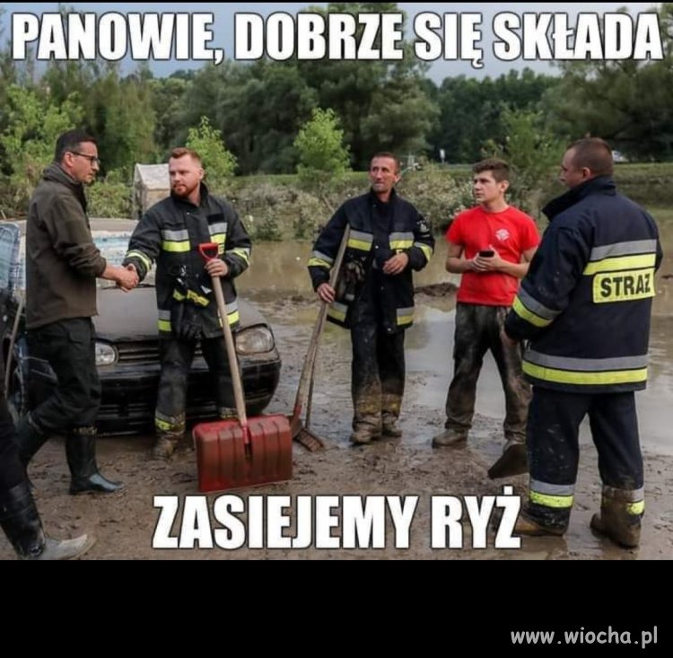 Pomocny