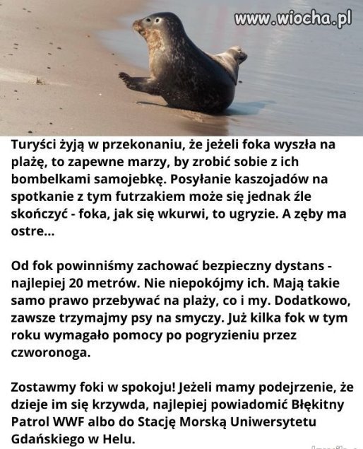 A teraz na poważnie 