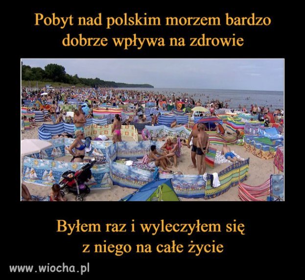 Człowiek istota stadna i siłą stada głupia?  