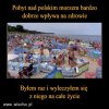 Człowiek istota stadna i siłą stada głupia?  