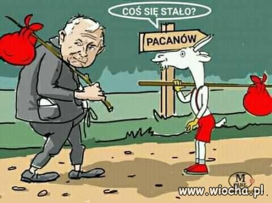 Tusk wrócił !