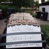 Tarcza