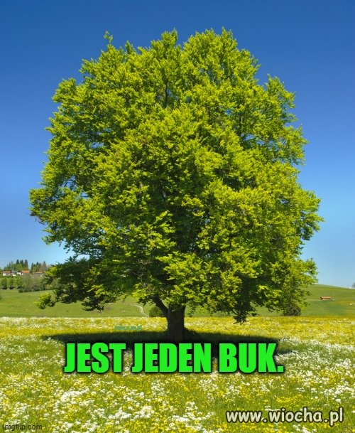 Wszyscy widzą, 