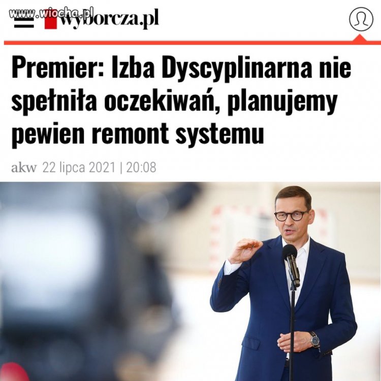 Wyraźnie widać miękiszoństwo. 