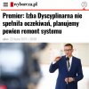 Wyraźnie widać miękiszoństwo. 