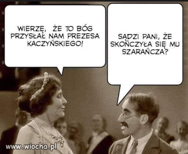 Pisowiec vs Normals