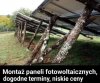 To nawet nie jest już śmieszne   
