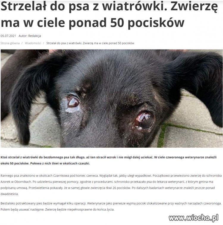Pier... zwyrodnialec