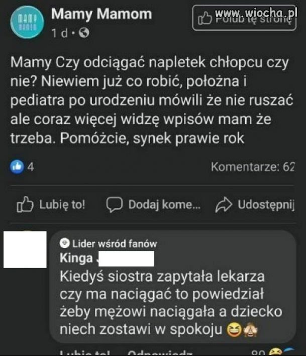 Porady