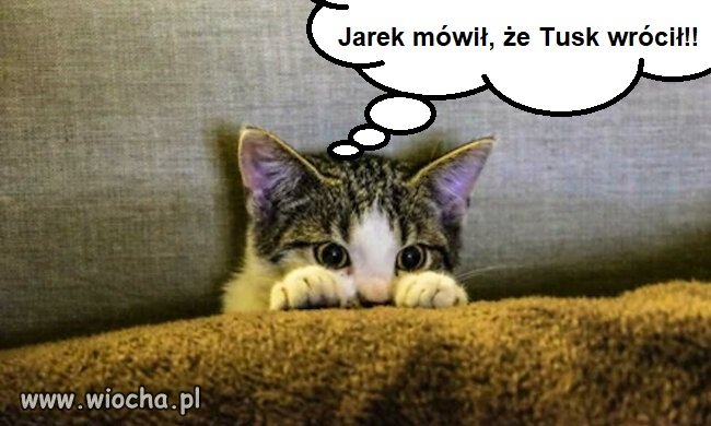 Tymczasem na Żoliborzu
