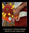 Made in China