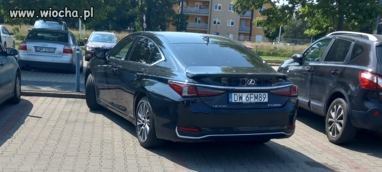 Miszcz parkowania
