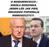 Niezła 