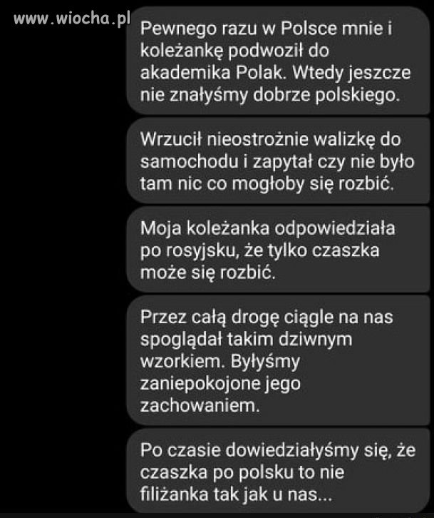 Czaszka