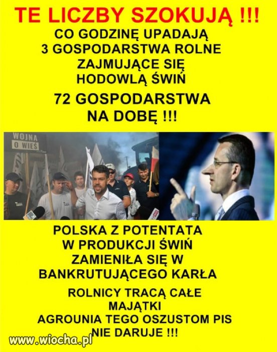 PiS już oszukał wszystkich...nawet własny elektorat!