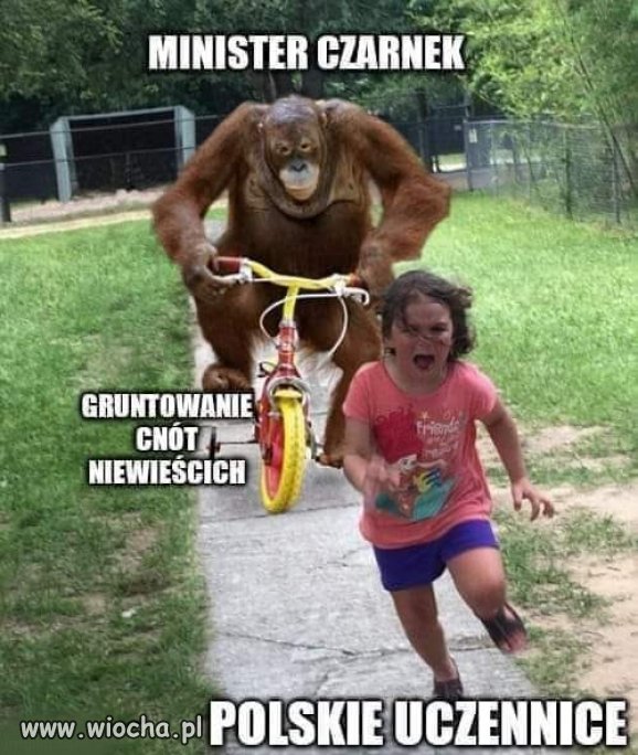 Minister Czarnek 