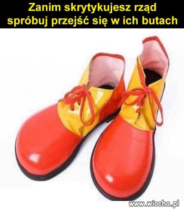 Coś w tym jest
