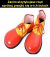 Coś w tym jest