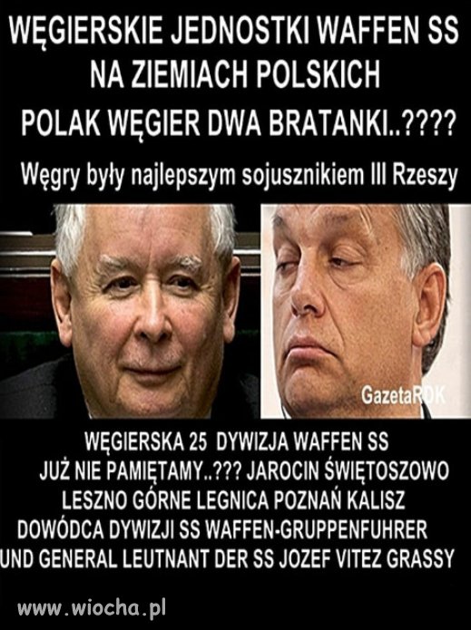 To nowy przyjaciel Polski PiSu...