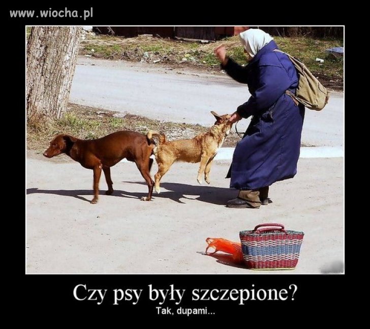 Szczepienie