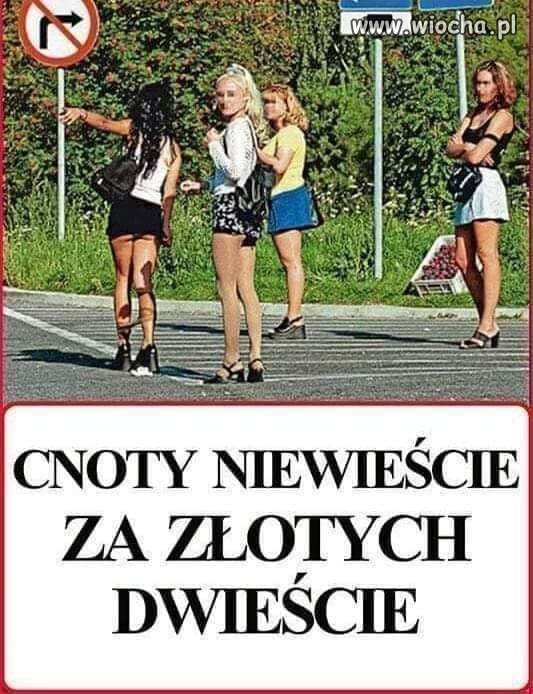 Coś dla Czarnka ...