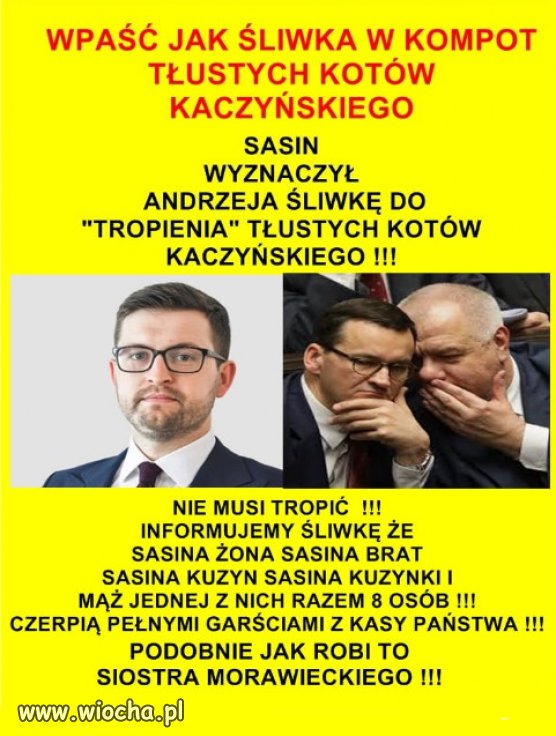 I jak tu teraz szukać i nie znaleźć?