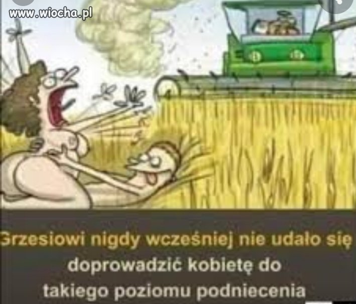 Żniwa w pełni 