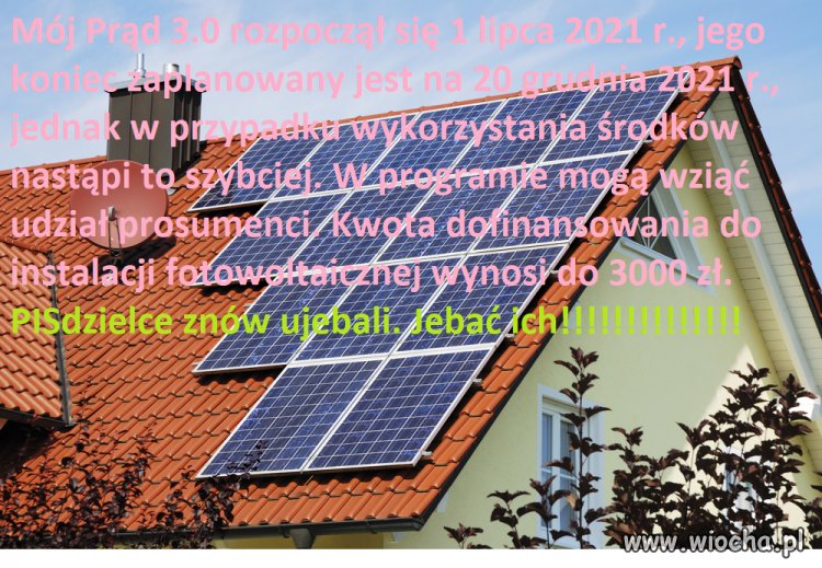 .ebać PIS