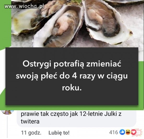 Twitterowe Julki