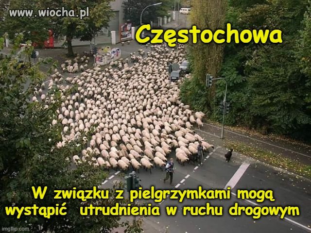 Uwaga kierowcy!