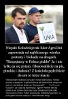 Taka propozycja ...