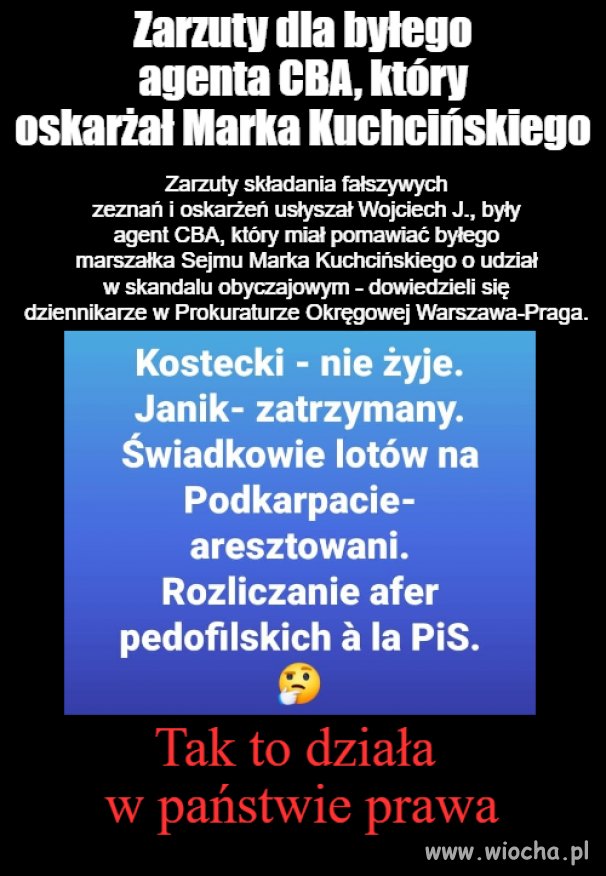Państwo prawa 
