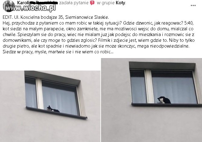 Ludzie nie potrafią myśleć po za Facebookiem