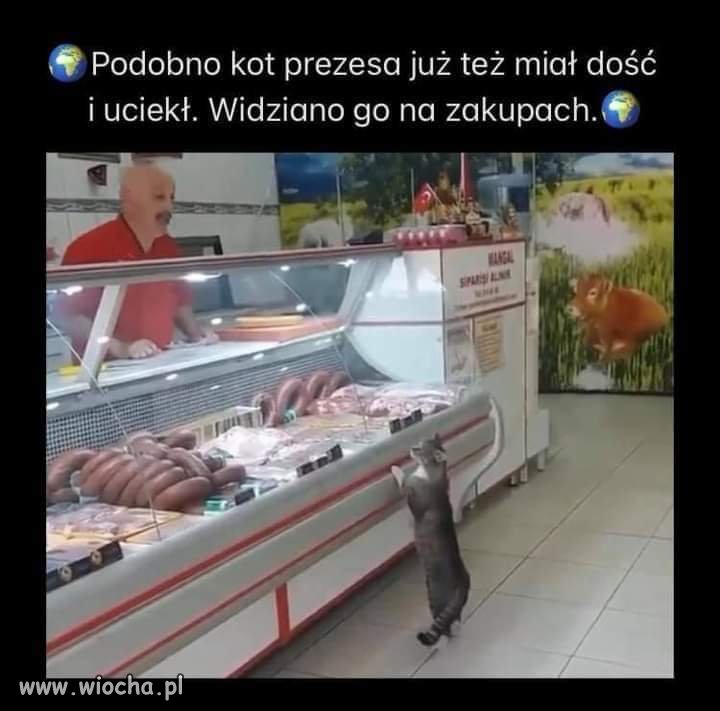 Heheszki