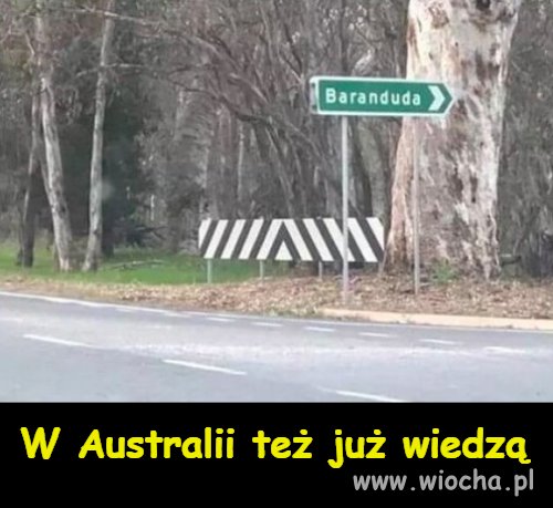 Tam też wiedzą 