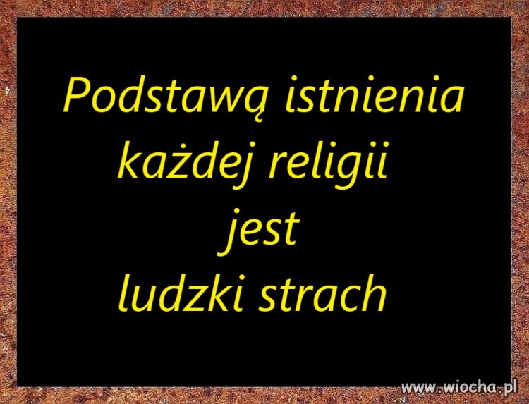 Dokładnie tak.