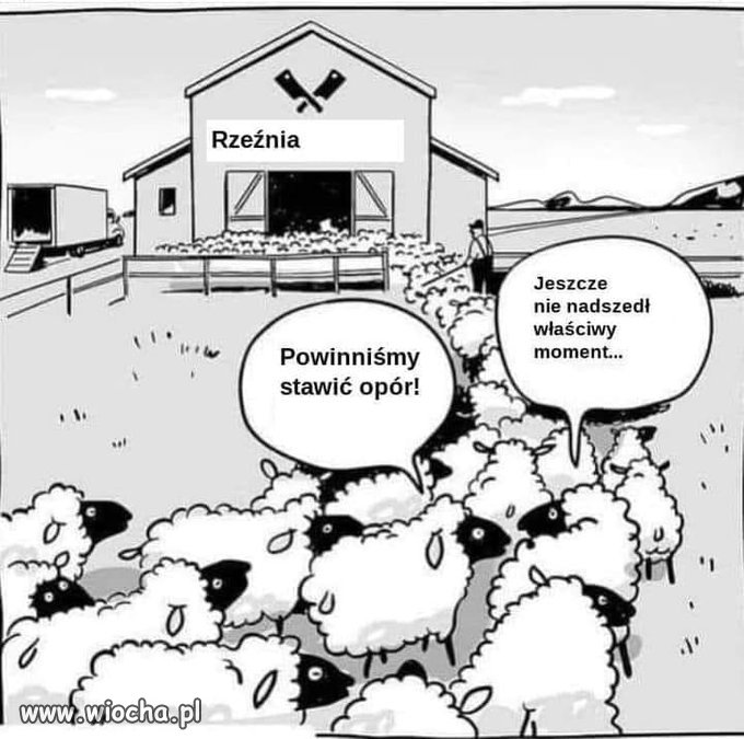 Czy jesteśmy już na tym etapie?