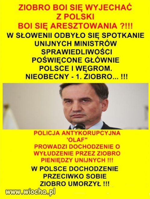 ZIOBRO BOI SIĘ WYJECHAĆ Z POLSKI ?