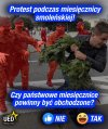 Absolutnie 