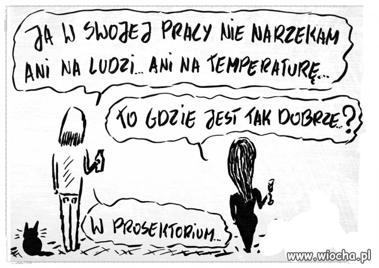To tak jak każda kobieta chwali męża po śmierci.