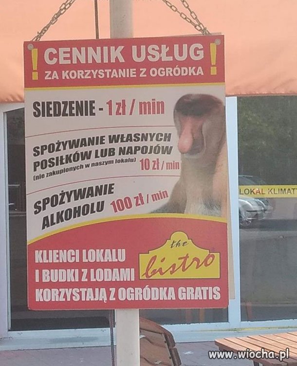Cennik usług dla Sebika 