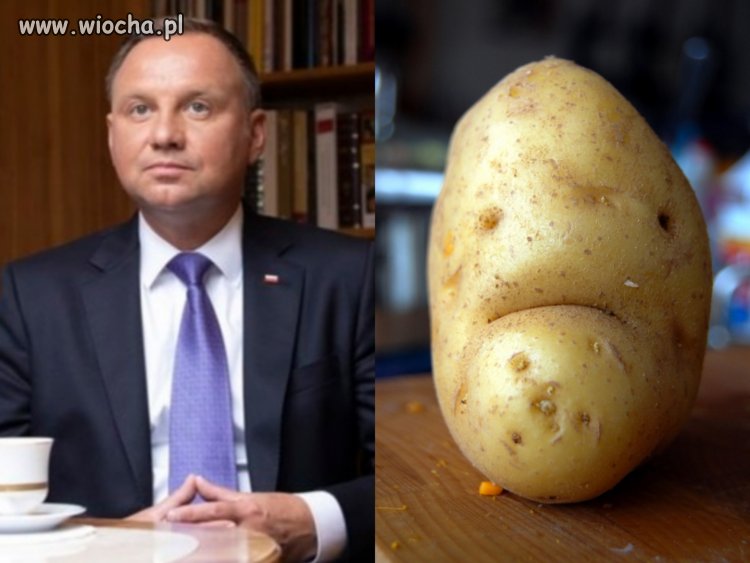 Zdjęcie dudy z artykułu