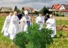Kto jest za legalizacją święconej TRAWY w Polsce?
