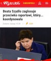 Polityka Pis