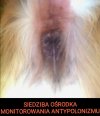 Cóż to za (o)środek