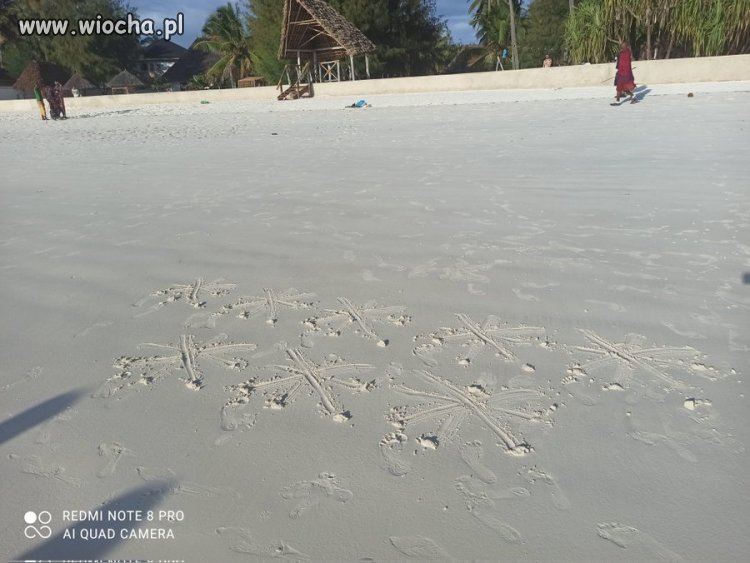 Idziemy sobie plażą na Zanzibarze,