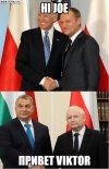 Tytuł zbędny 