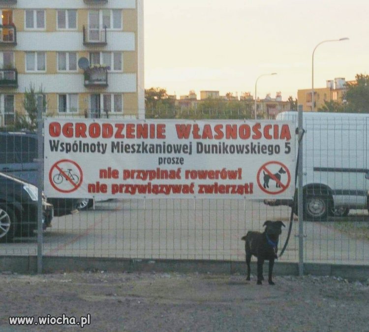 Dobrze, że nie pod prądem