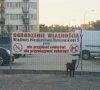 Dobrze, że nie pod prądem