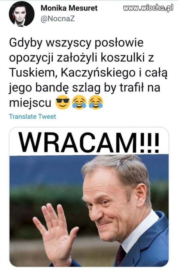 Jarku, wracam !
